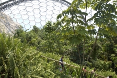 The Eden Project