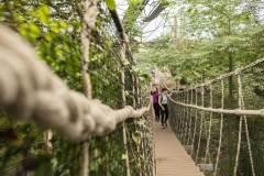 University of Plymouth students visit The Eden Project