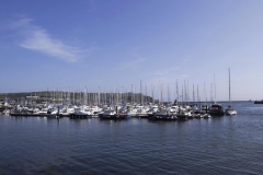 Plymouth Barbican